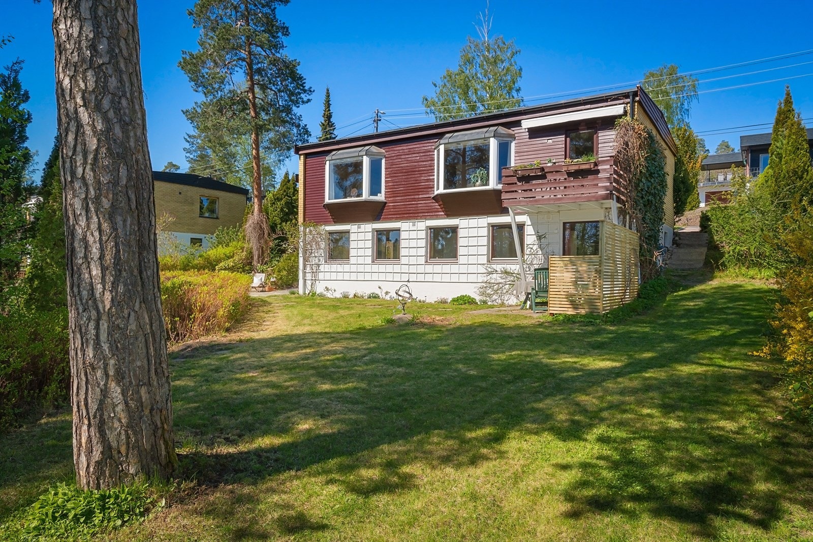 Store plenarealer til glede for både barn og voksne. Galleribilde
