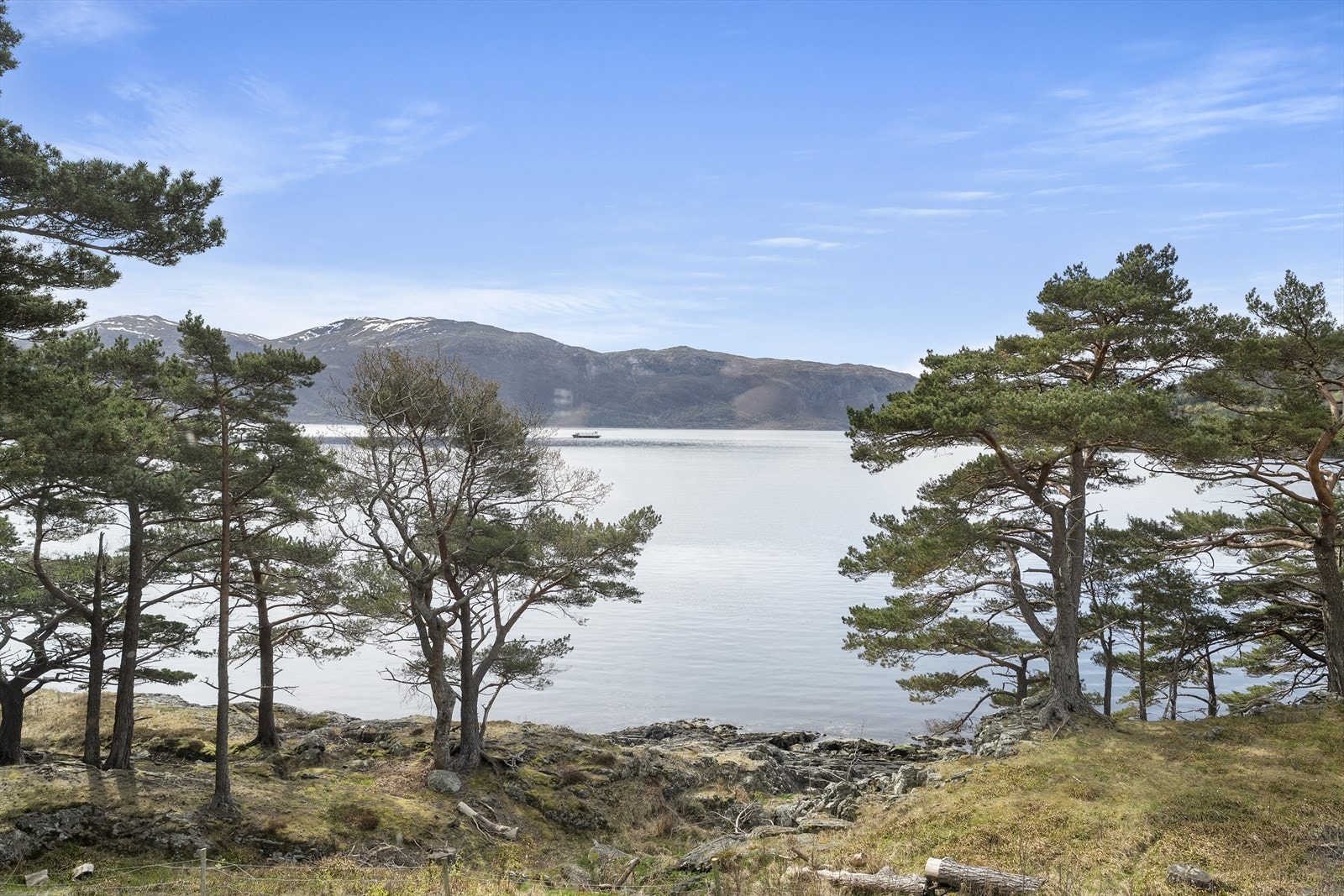 Det er fine områder langs sjøen like ved eigedomen Galleribilde