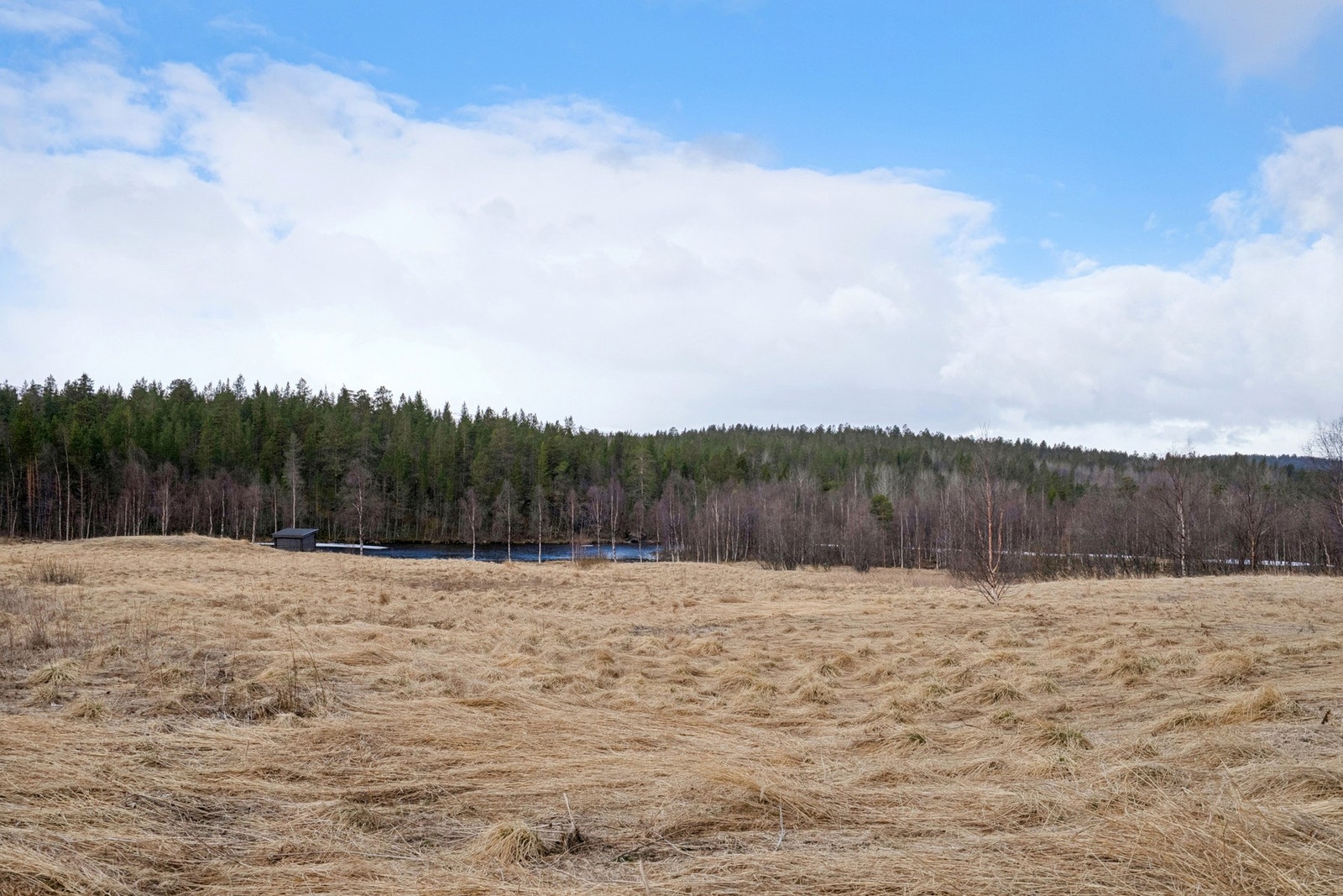 Eiendommen er omgitt av et åpent og vakkert kulturlandskap med skog og fjell i horisonten. Galleribilde