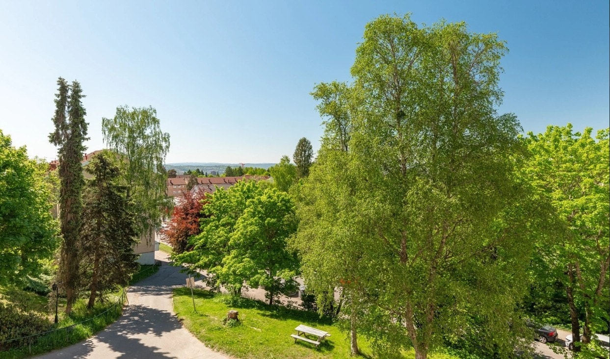 Fellesareal Galleribilde