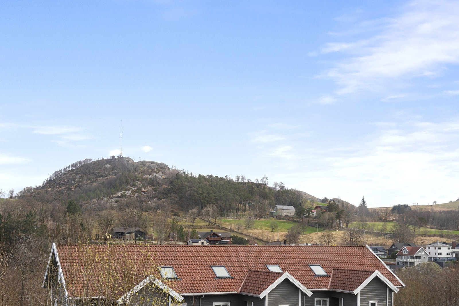 Flott utsikt Galleribilde