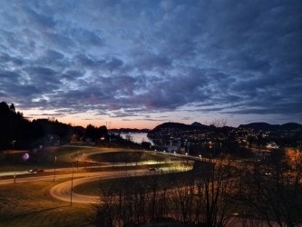 Bilde tatt av selger. Galleribilde