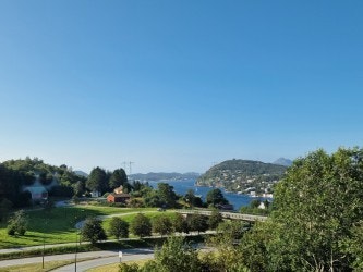 Bilde tatt av selger. Galleribilde