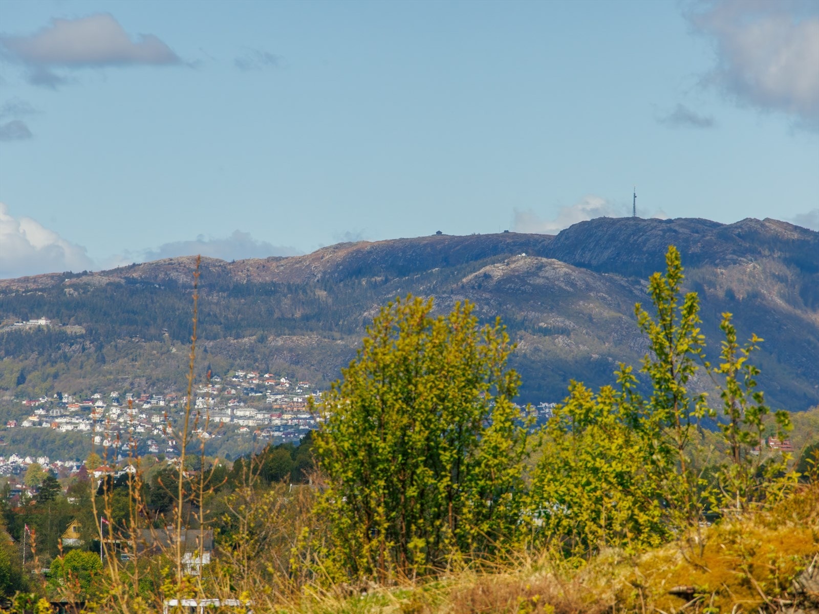 Utsikt Galleribilde