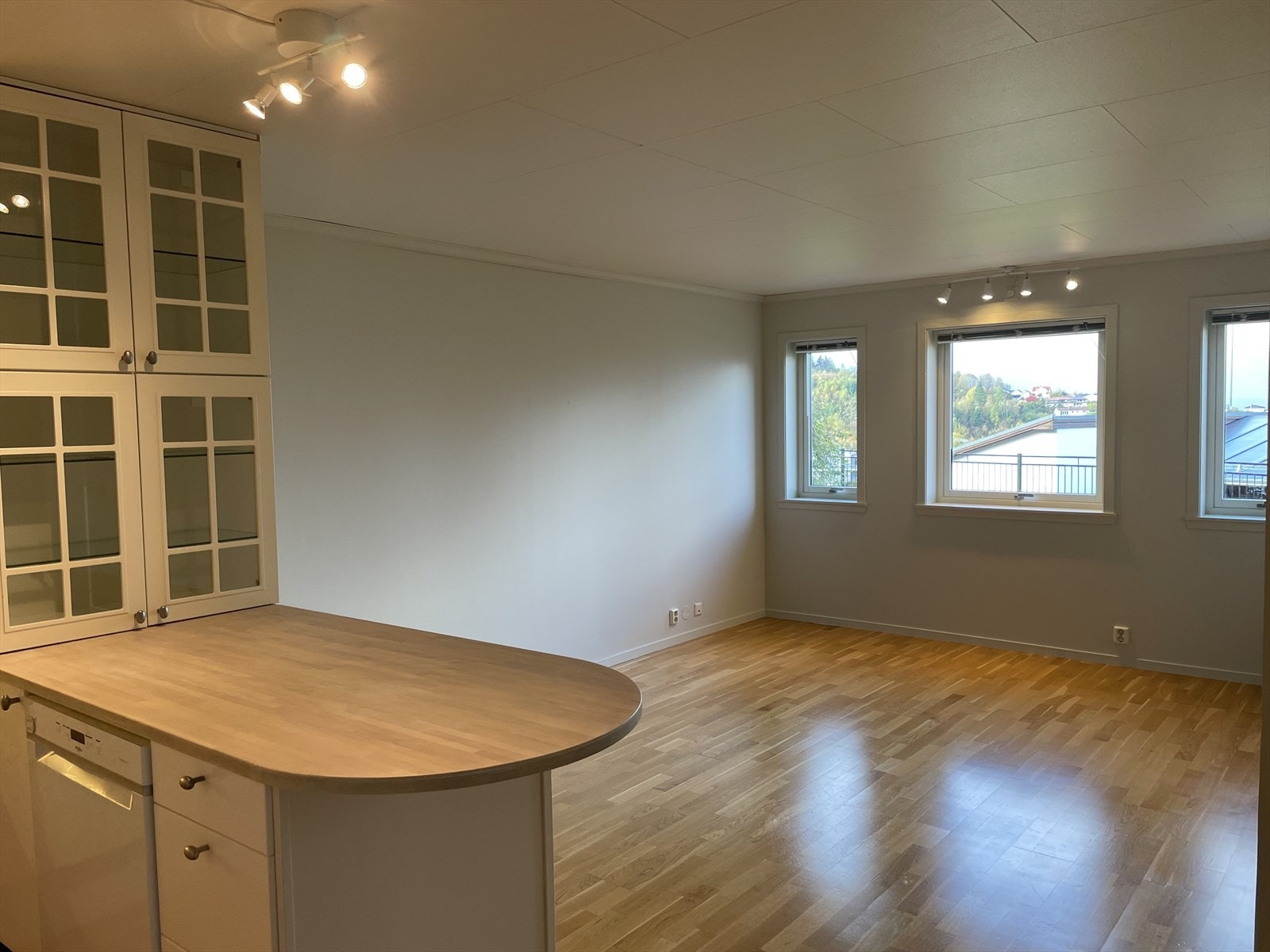 Selgers private bilder av utleiedel. Galleribilde