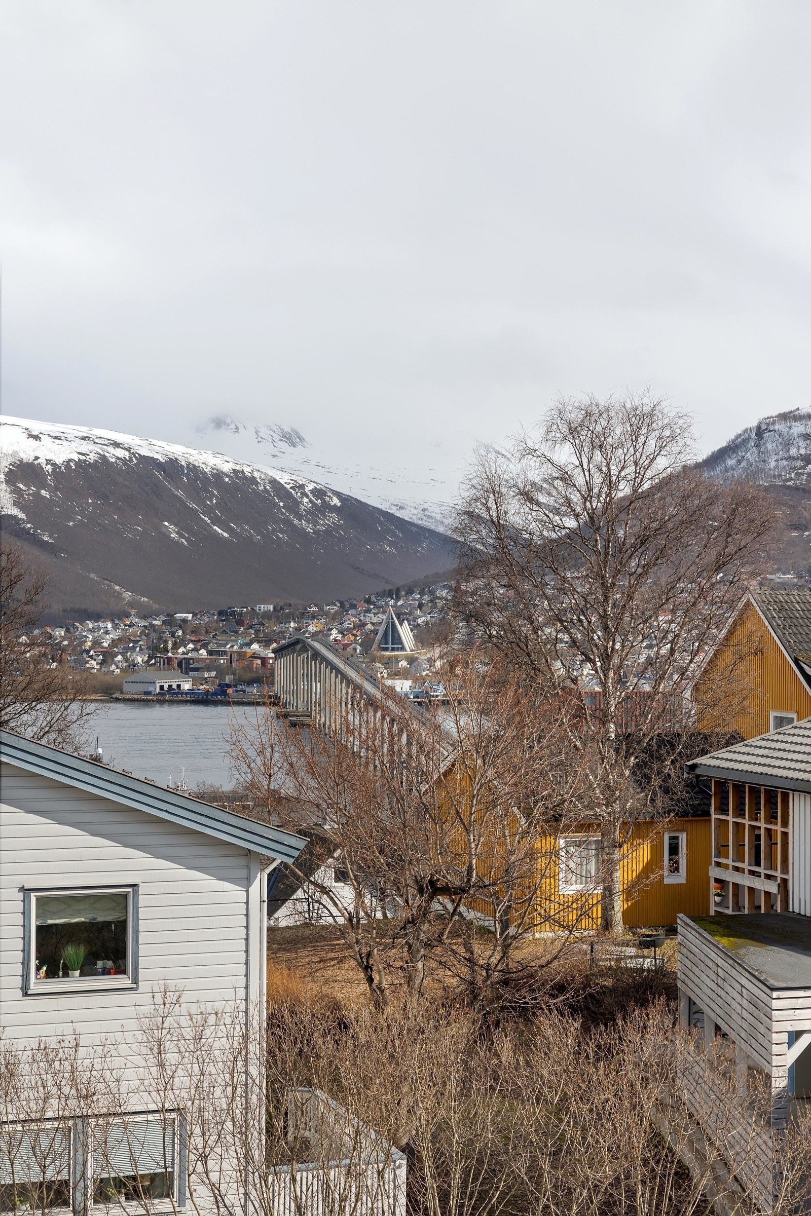 Du ser både Tromsøbrua, Ishavskatedralen og Tromsdalstinden Galleribilde