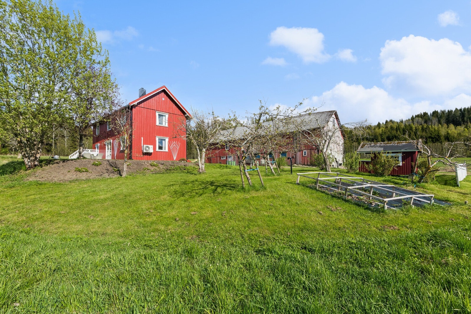 Eiendommen gir gode muligheter til å dyrke ulike frukt, bær og grønnsaker. Galleribilde
