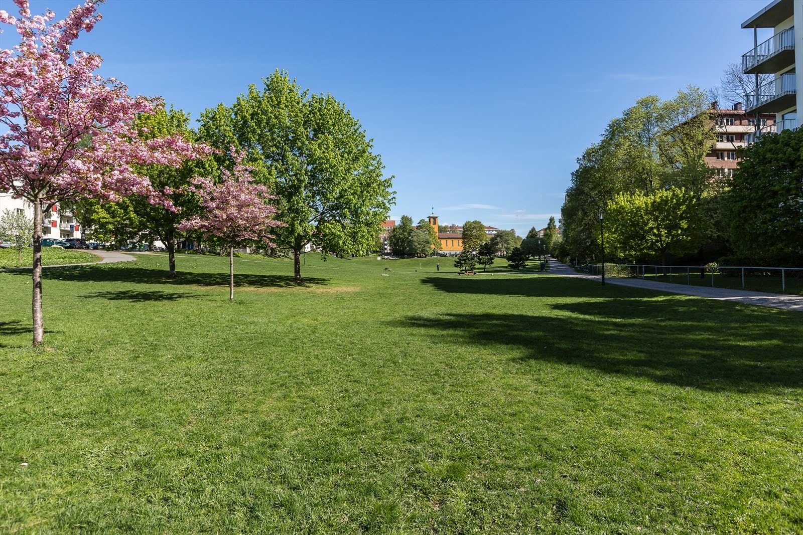 Vårstemning i Iladalen park. Parken er svært populær park blant områdets beboere og er en rolig, grønn oase i umiddelbar nærhet. Galleribilde