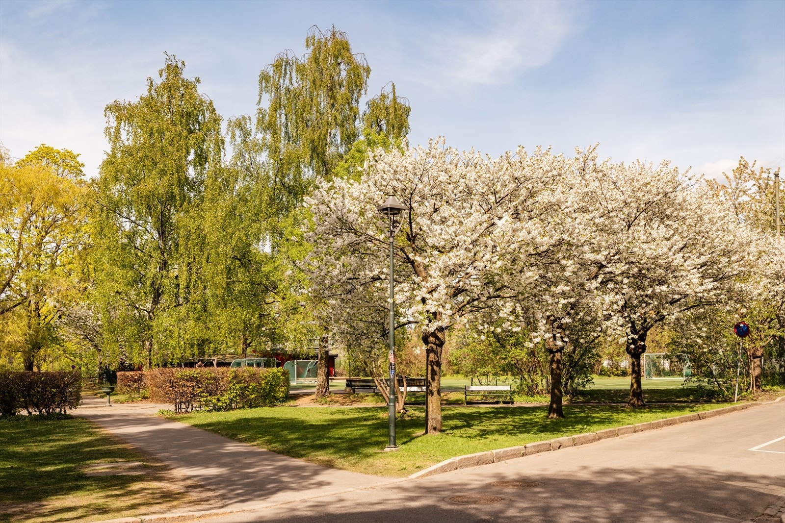 Like ved leiligheten finner man dette hyggelige parkområde, i tillegg til Normannsparken som ligger motsatt vei. Galleribilde