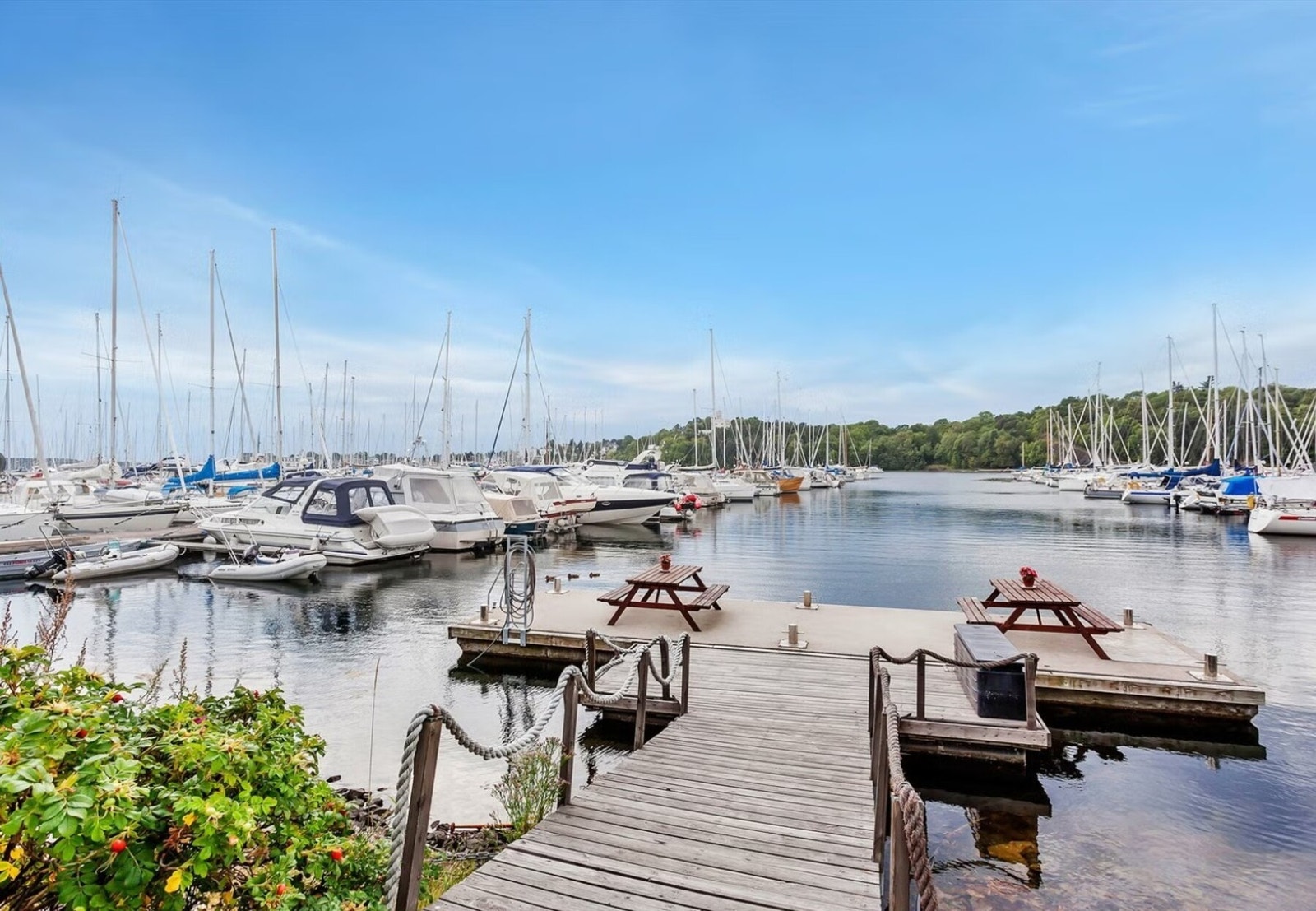 Nær Frognerstranden og Oslofjorden Galleribilde