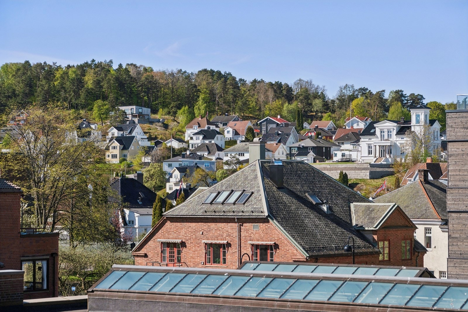 Trivelig utsikt. Galleribilde
