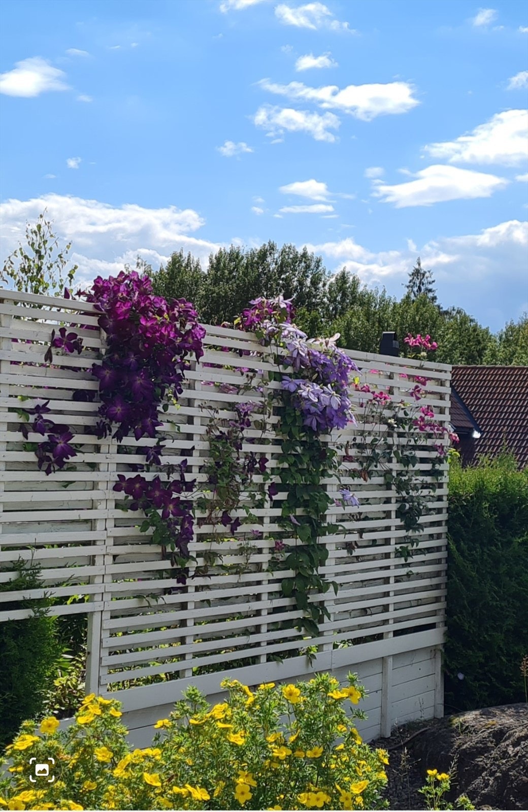 Selgers bilde Galleribilde