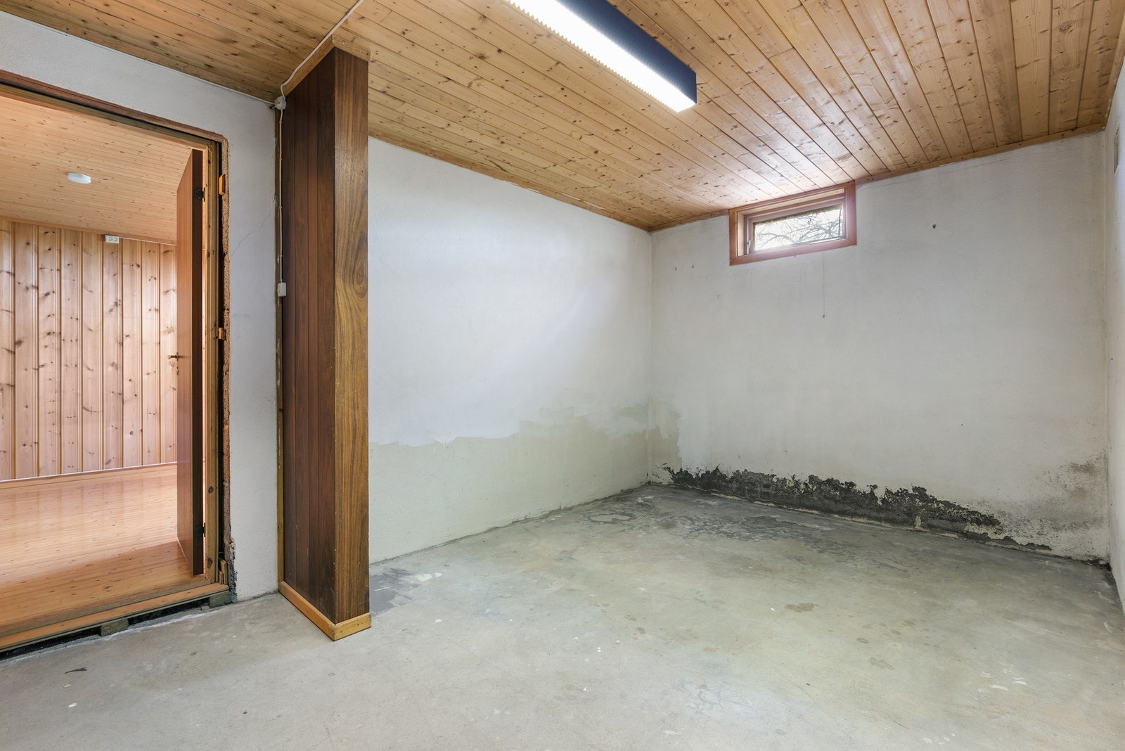 Bilder fra kjelleren. Galleribilde