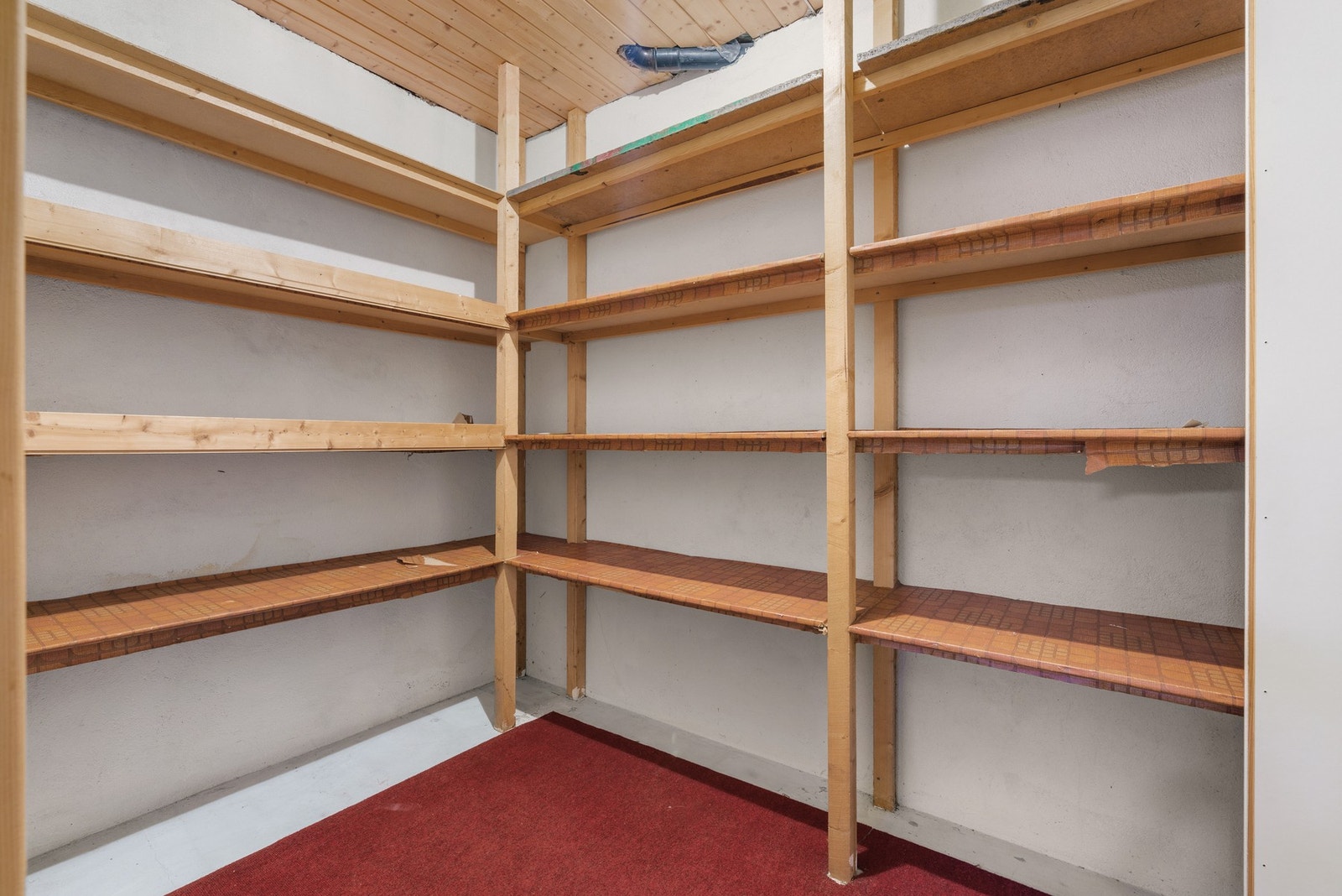 Rom med hyller og rødt gulvteppe. Galleribilde