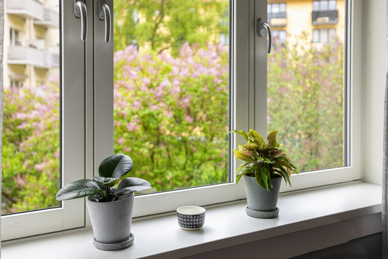 Hyggelig utsyn fra soverommsvinduet. Galleribilde