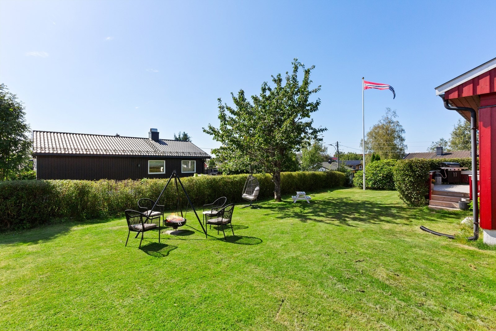 God plass til å kunne løpe rundt Galleribilde