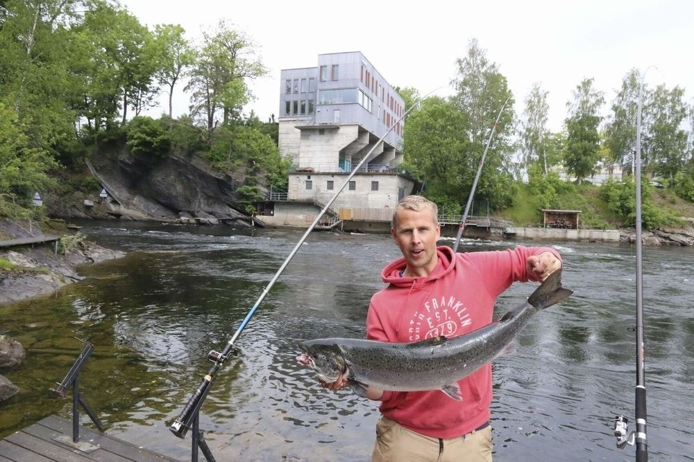 Salmon fishing downtown Skien Galleribilde