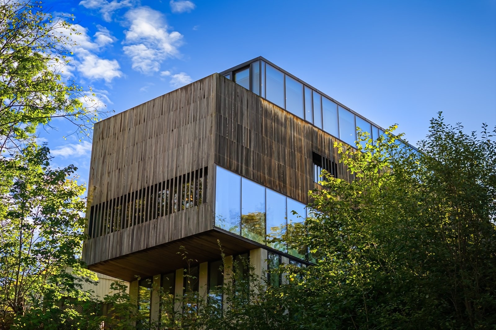 En rolig beliggende arkitektonisk perle som hviler på det bratte og dynamiske landskapet i Ekeberglia. Med sin trekledde kropp toppet med en lett glassstruktur danner huset et forhold til løvtrærne og naturen som omgir bygningen. Galleribilde