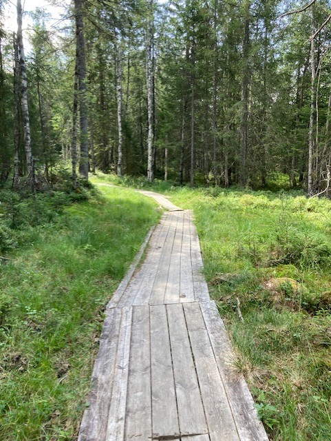Det er et fantastisk turterreng i området rundt boligen sommer som vinter. Selger sitt private bilde. Galleribilde
