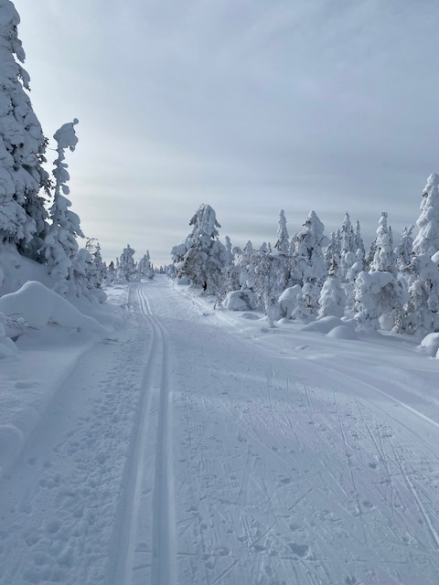 Det er et fantastisk turterreng i området rundt boligen sommer som vinter. Selger sitt private bilde. Galleribilde