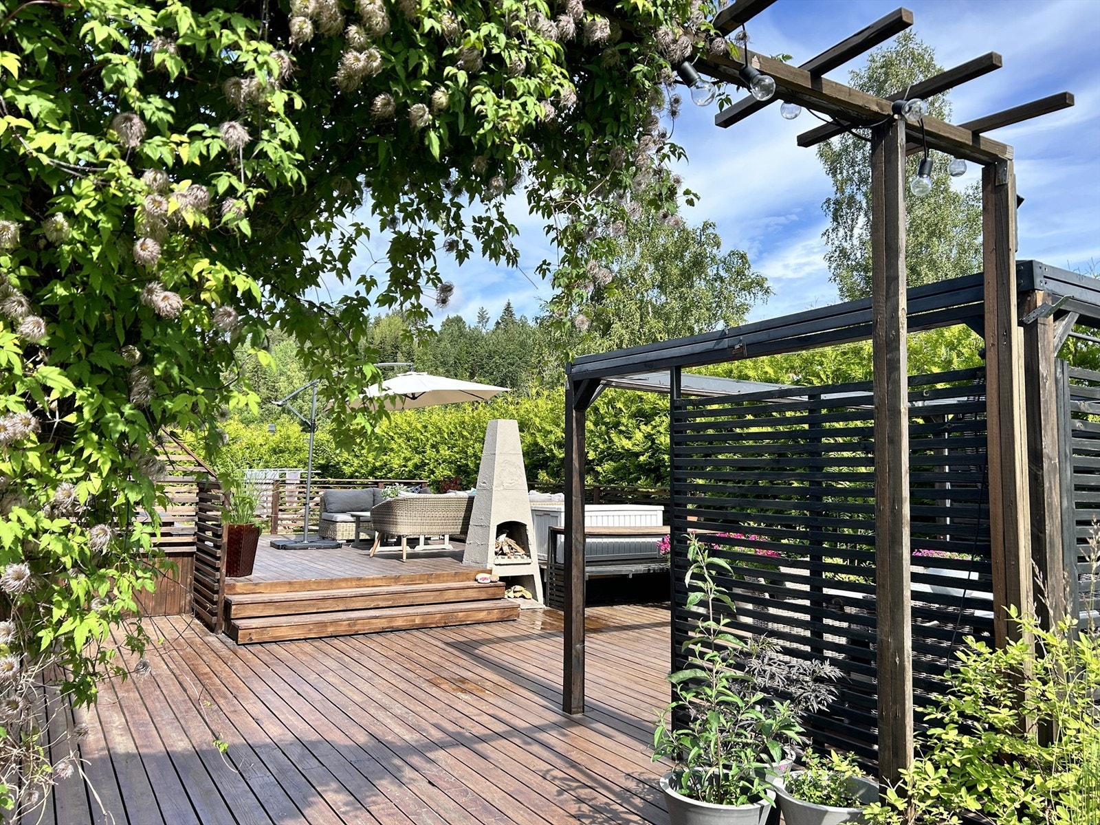 Selgers sommerbilde Galleribilde