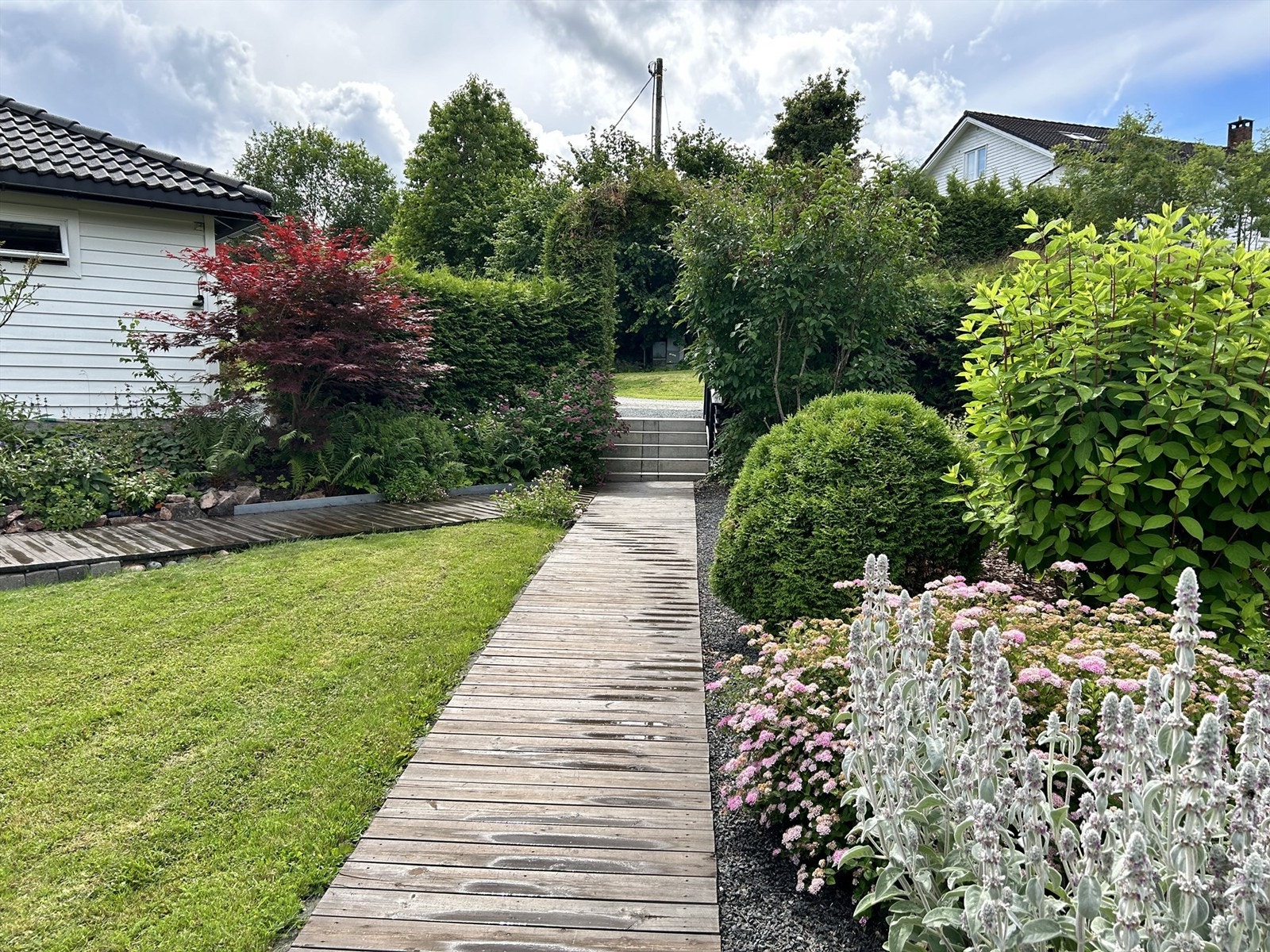 selgers sommerbilde Galleribilde