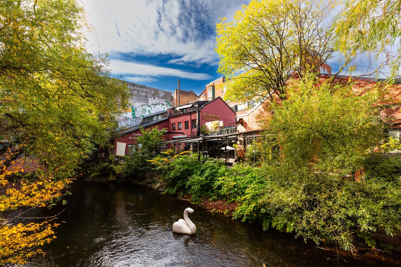 Nærområde. Galleribilde
