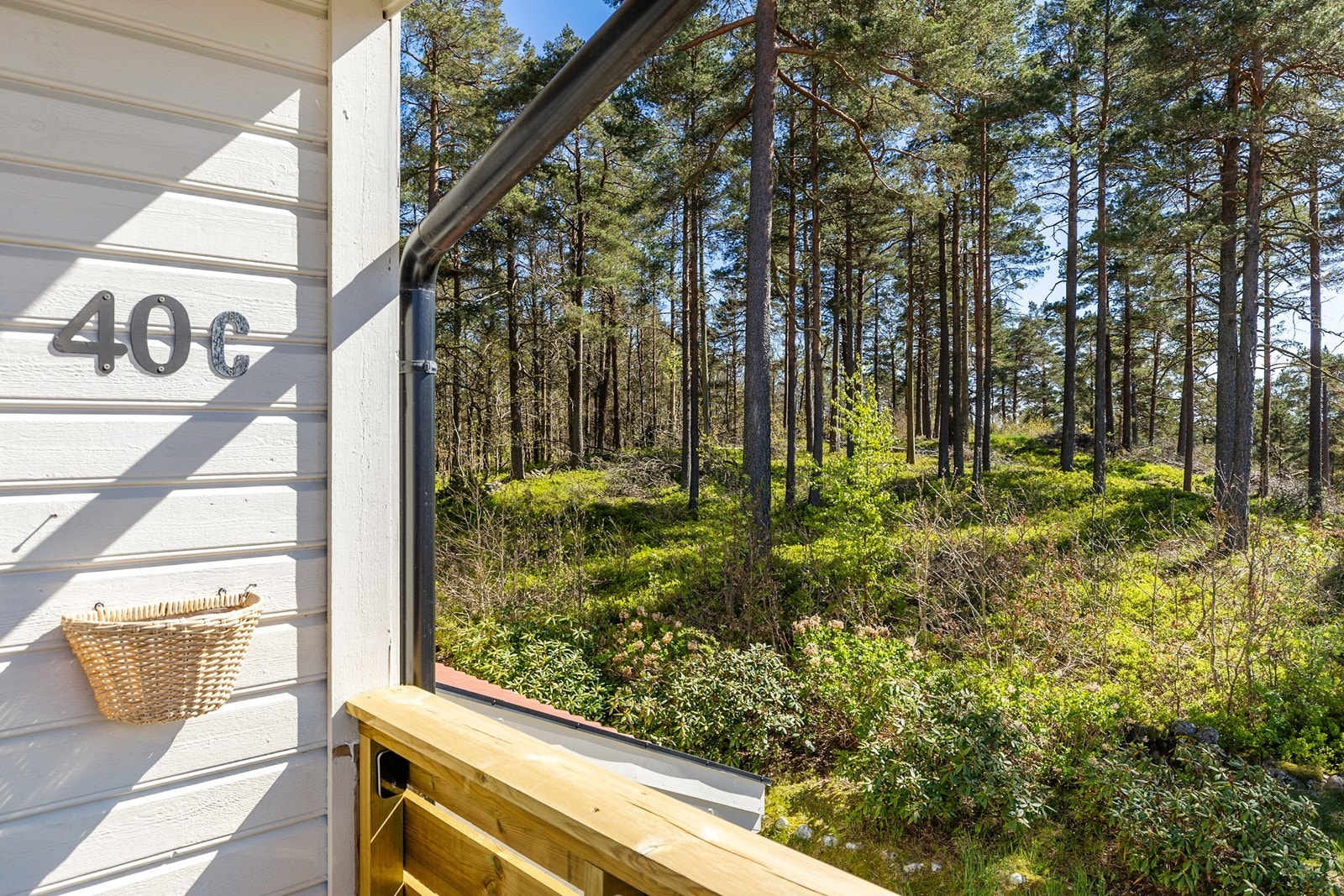 Fine omgivelser med nærhet til skog og fine turområder Galleribilde