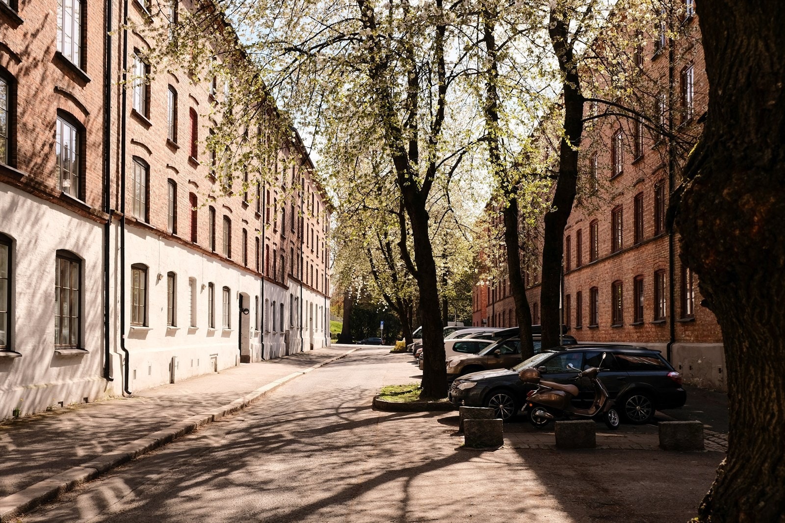 Siebkes gate er en svært skjermet og rolig enveiskjørt sidegate. Galleribilde