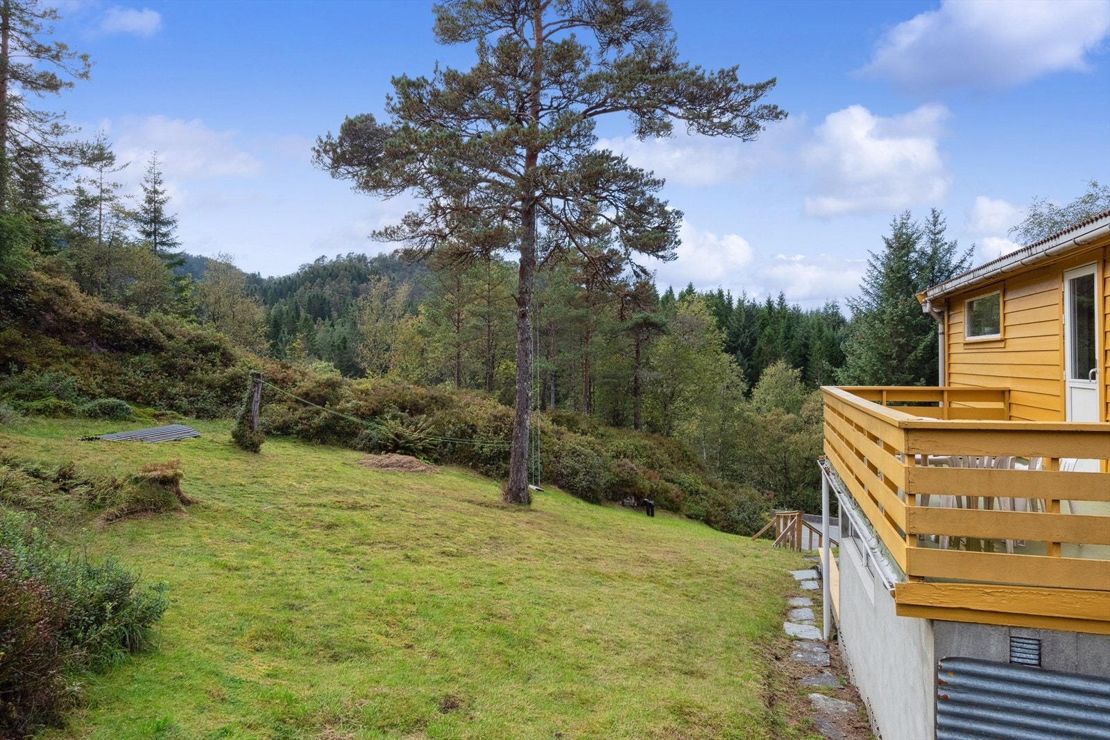Plenarealer rundt hytten, naturtomt for øvrig. Galleribilde