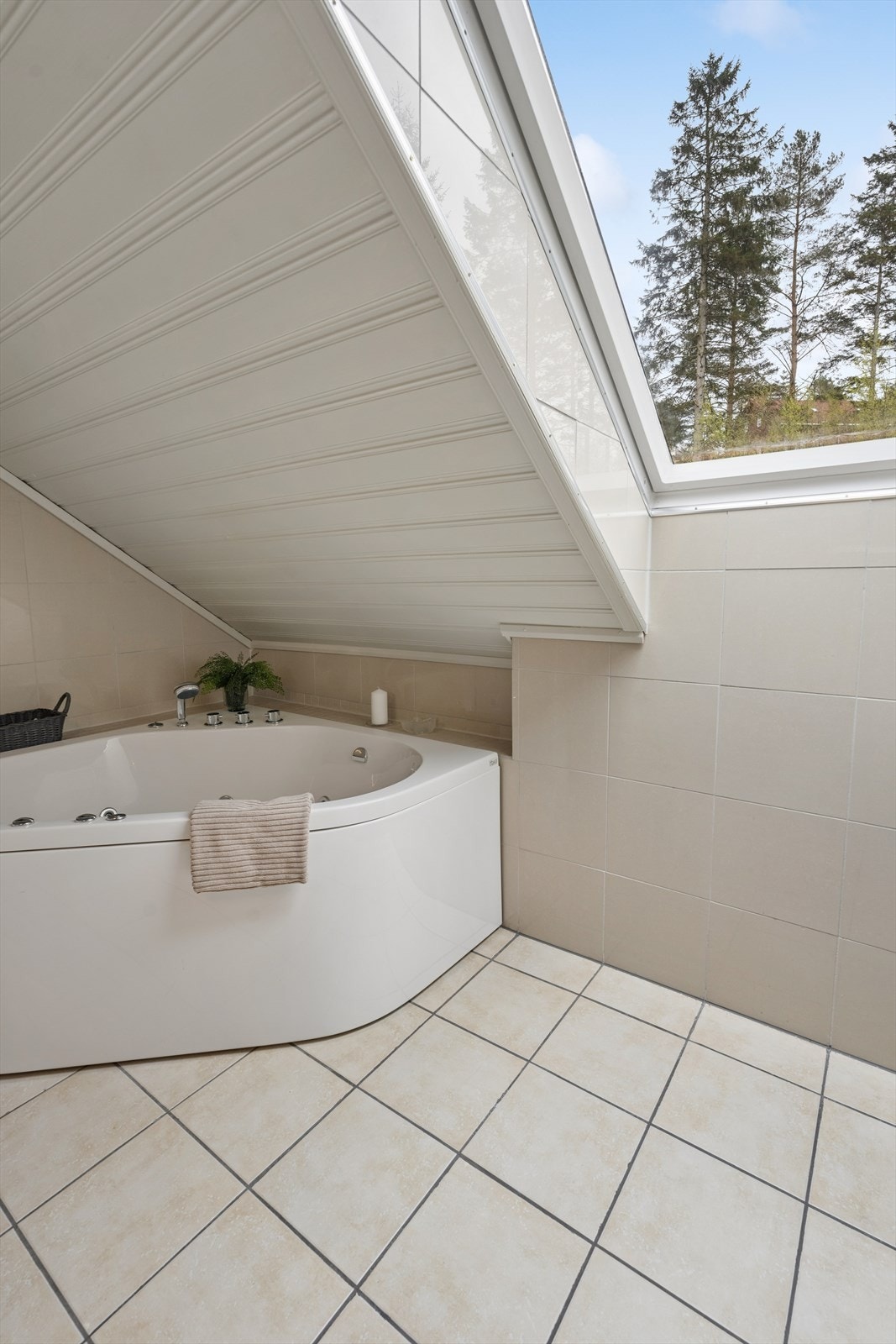 Et stort takvindu gir rikelig med naturlig lys. Galleribilde
