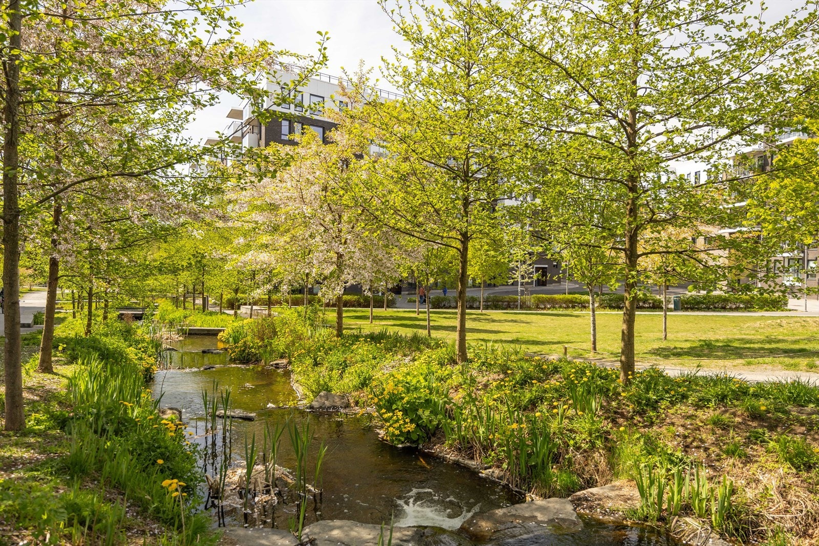 Idyllisk parkanlegg i umiddelbar nærhet til blokken med lekeapparater, bekk, vannspeil, gangbru, beplantning og bålplass. Området godt skjermet fra biltrafikk Galleribilde