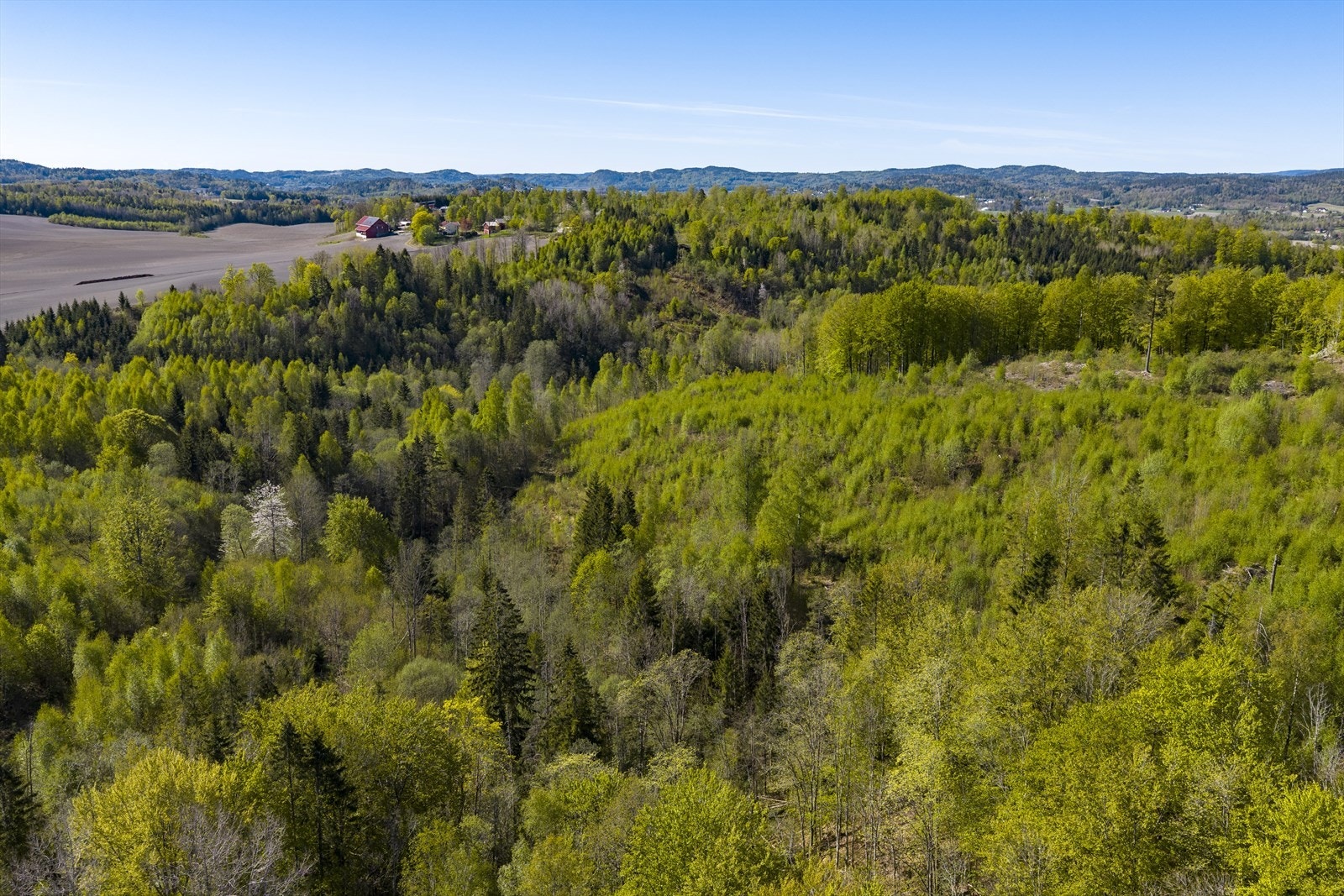 Området byr på gode turmuligheter med umiddelbar nærhet til skog og mark. Galleribilde