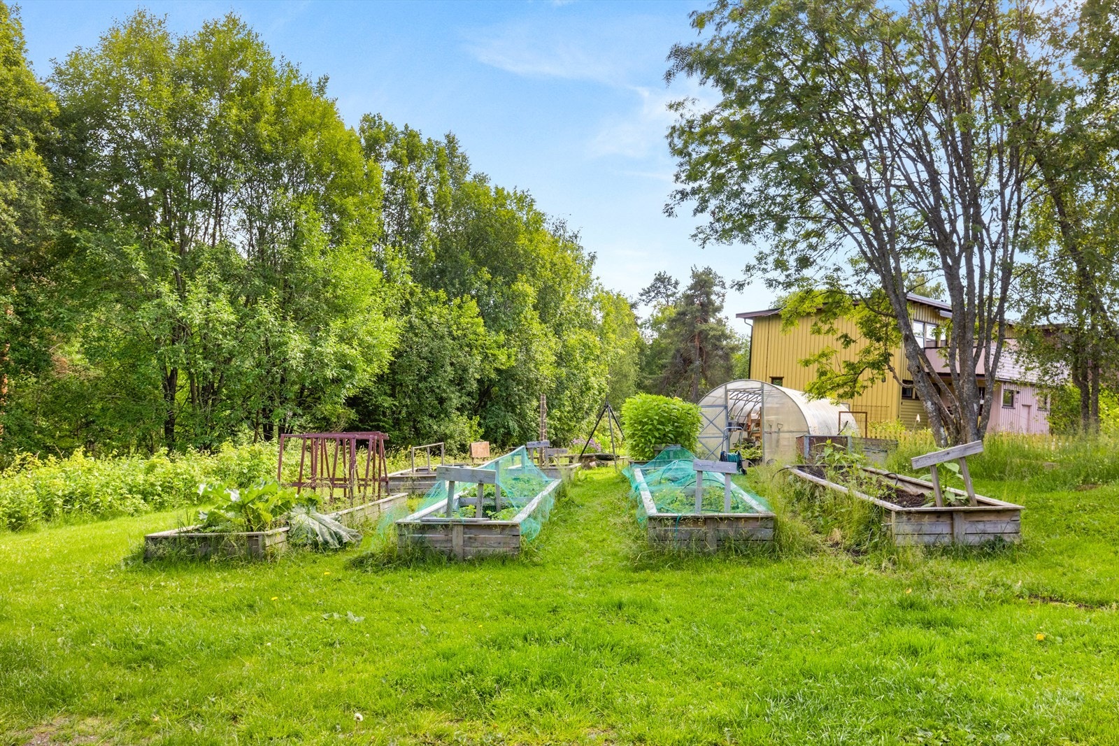 Hyggelig borettslag med landlig hage og dyrkemuligheter. Urbant landbruk. Galleribilde