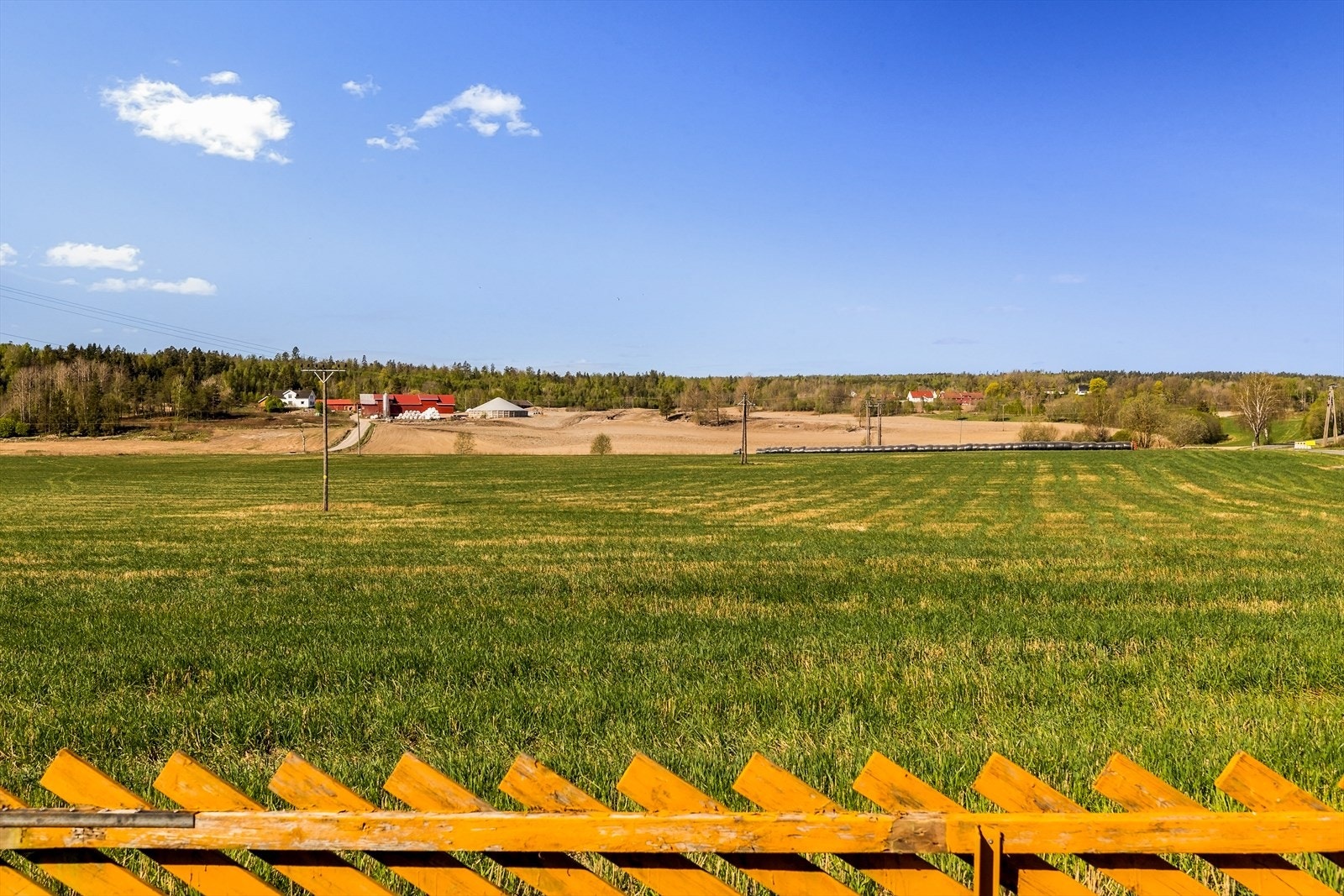 Utsikt over åpne jorder og skog. Galleribilde