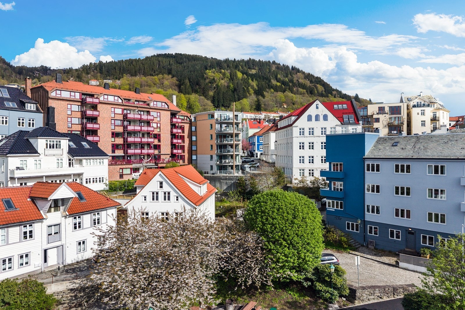 Fjellveien og Byfjellene byr på fine naturopplevelser med variert og flott turterreng Galleribilde