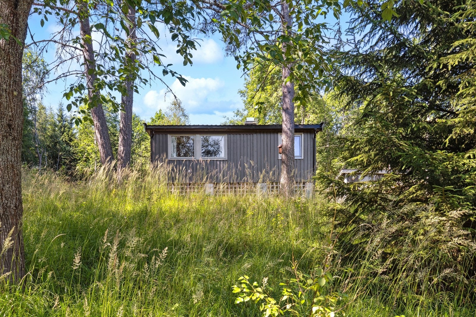Det er godt turterreng og rikelig med både bær og sopp i nærområdet. Galleribilde
