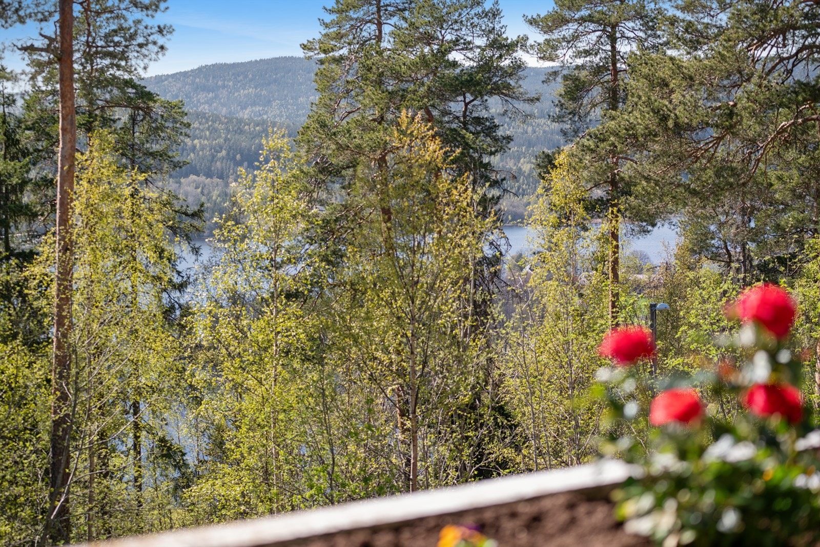 Fra boligen har du nydelig utsikt, både ut mot flotte grønne lunger og ut mot Bogstadvannet. Galleribilde