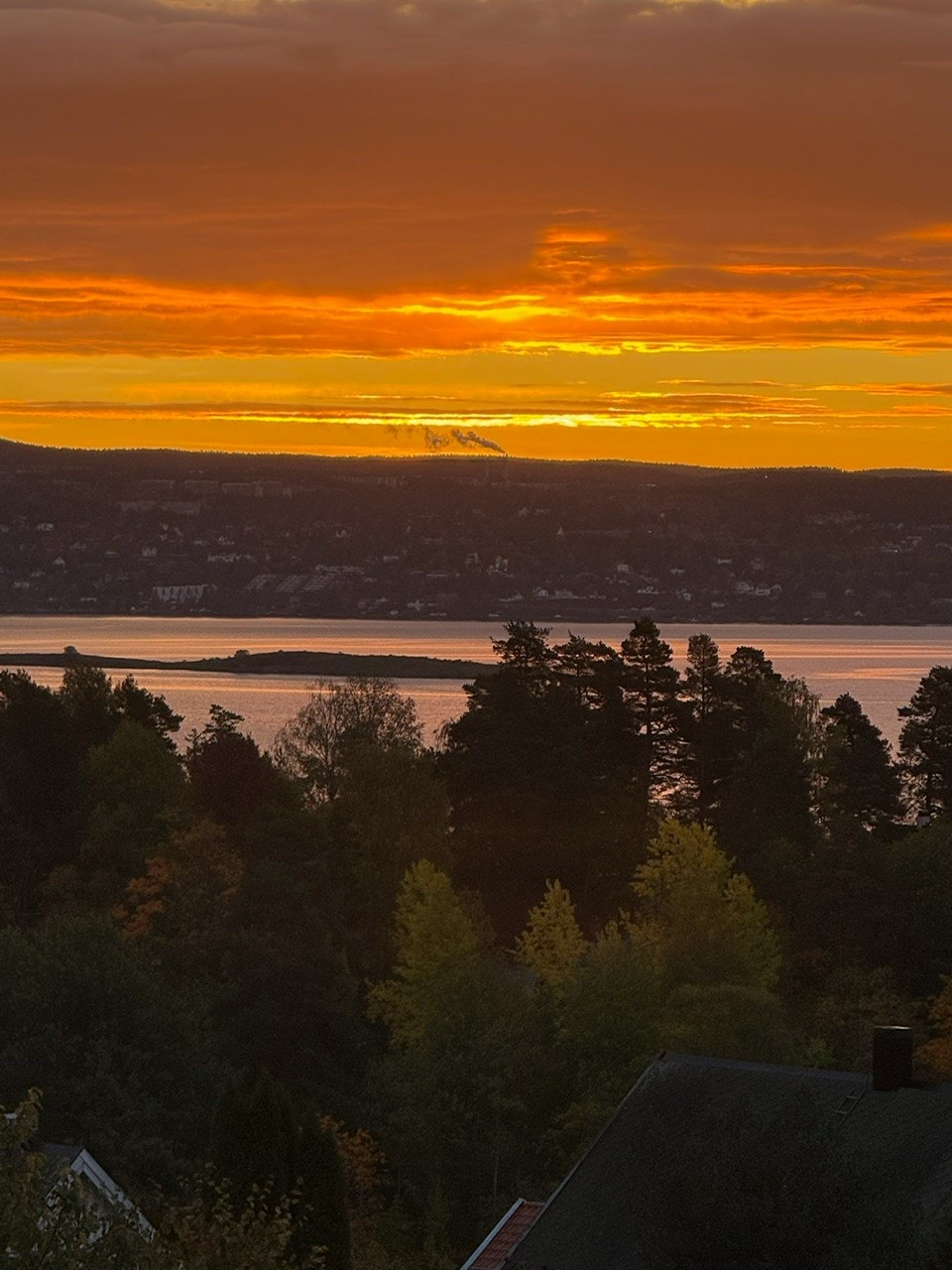 Selgers private bilde - Stemningsfull soloppgang over fjorden Galleribilde
