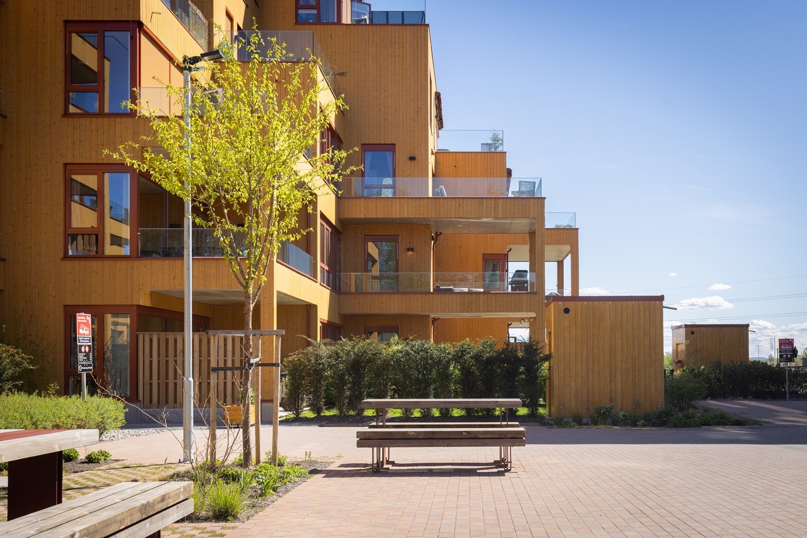 Pent opparbeidede fellesarealer med benker og beplantning. Galleribilde