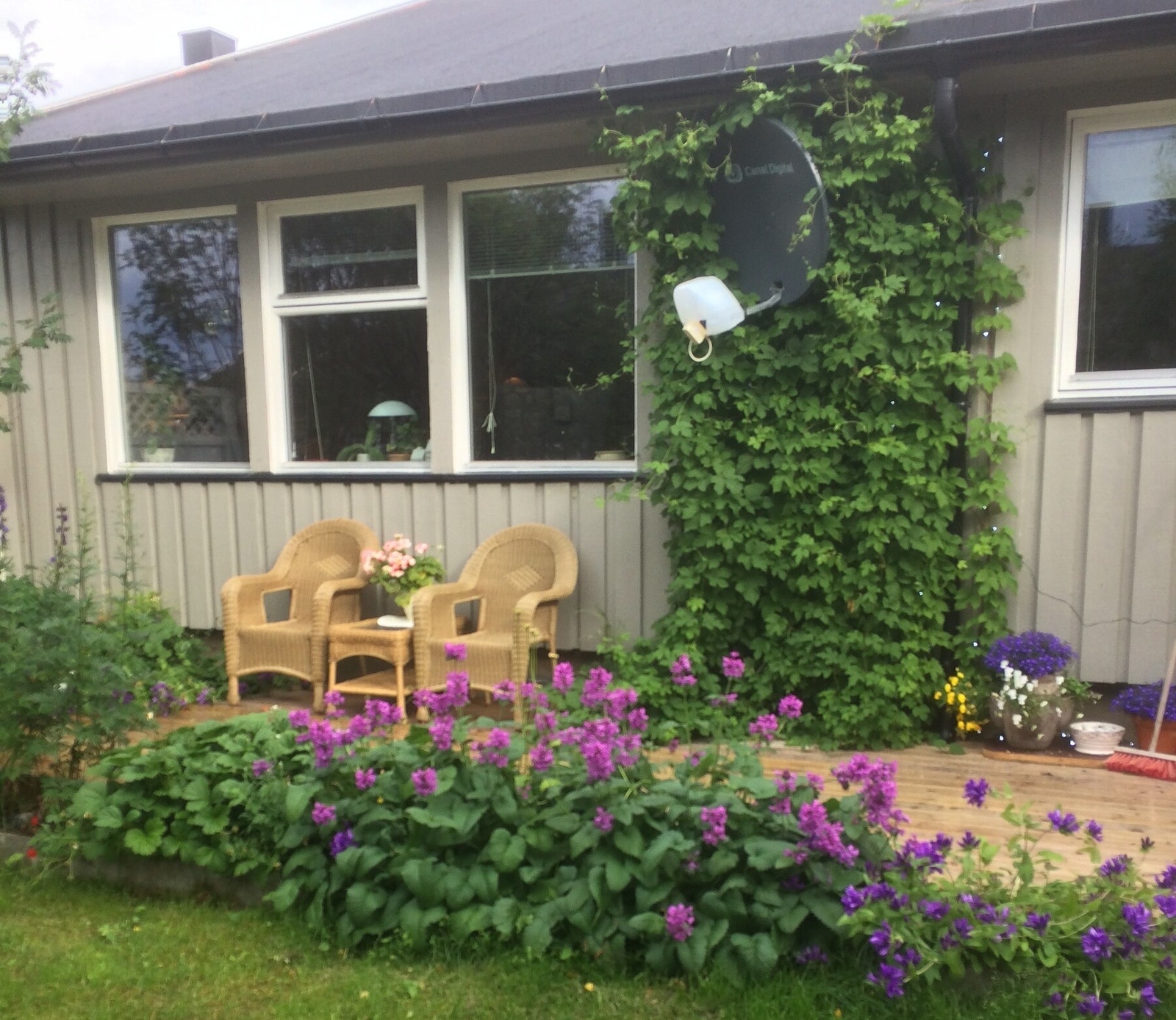 Hagebilder - Selgers eget bilde Galleribilde