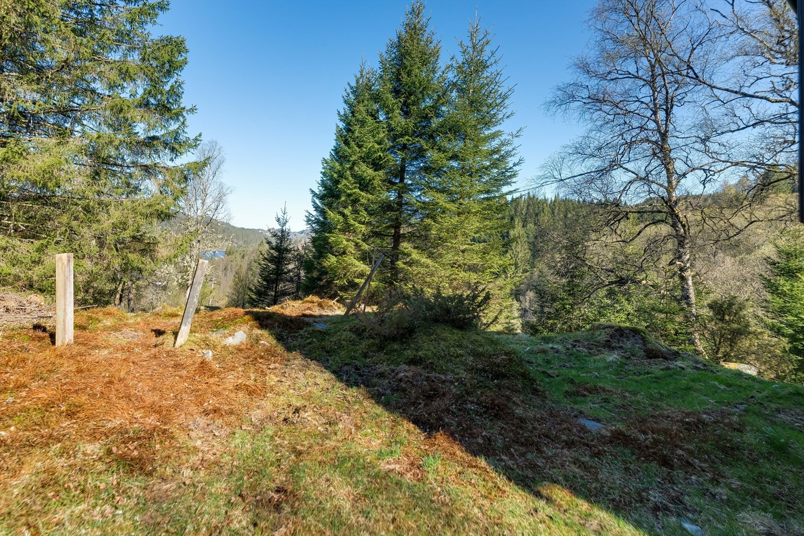 Fra eiendommen har man utsyn over skogkledde åser. Galleribilde