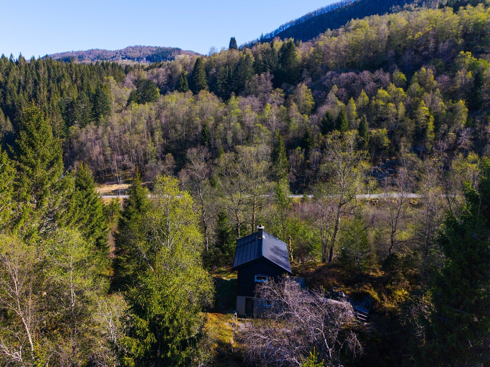 Hytten er plassert for seg selv, omkranset av skog. Galleribilde