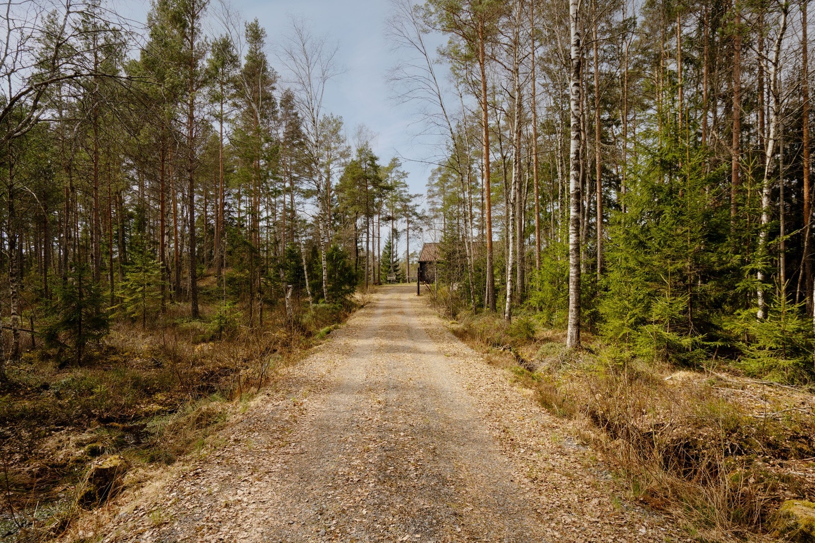 Privat vei på ca 70 meter til hytta fra hovedvei. Galleribilde