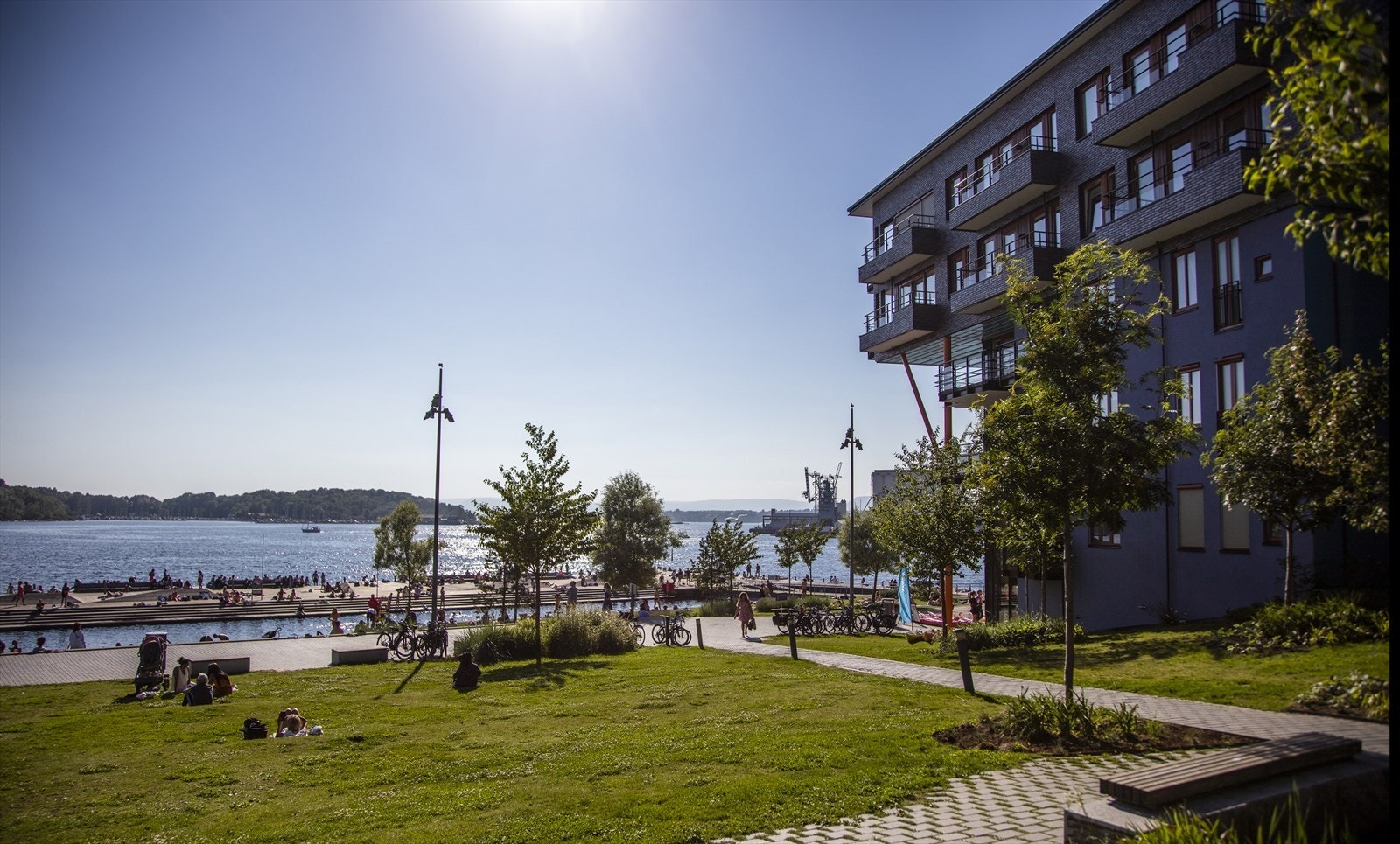 Områdebilde. Galleribilde