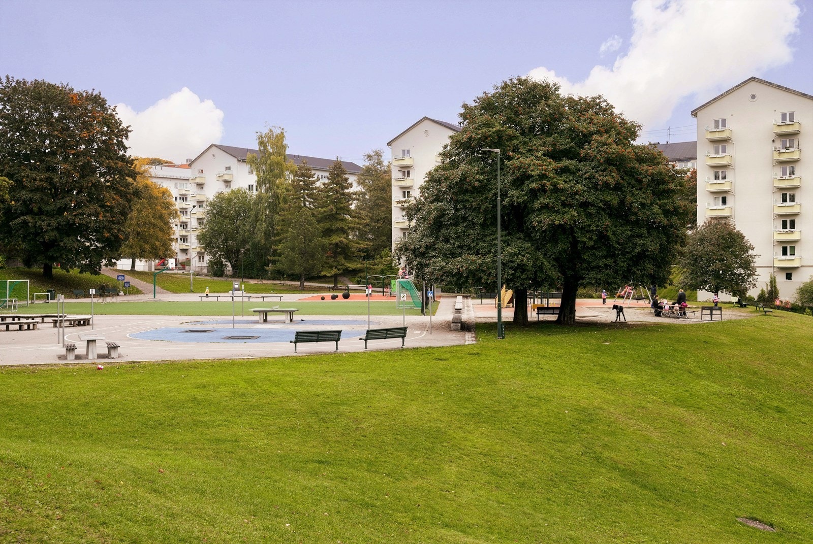 Kort gangavstand til Iladalen Park med store gressletter, ballbane og lekeplasser. Galleribilde