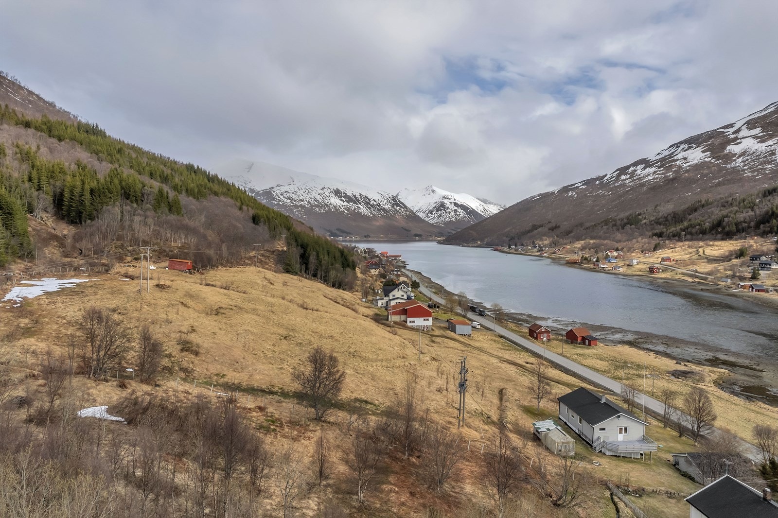 Dyrket mark mellom boligen og skoggrensa Galleribilde