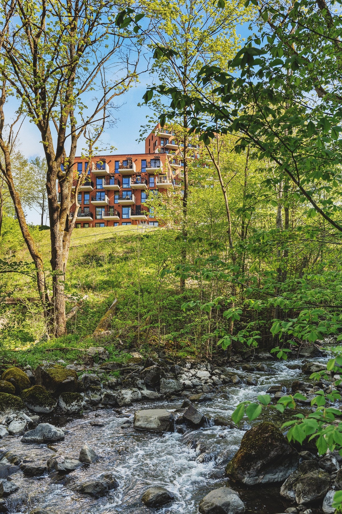Parken strekker seg langs Alnaelva og byr på vakker natur med rennende vann, små fosser, frodig vegetasjon og et rikt dyreliv. Galleribilde