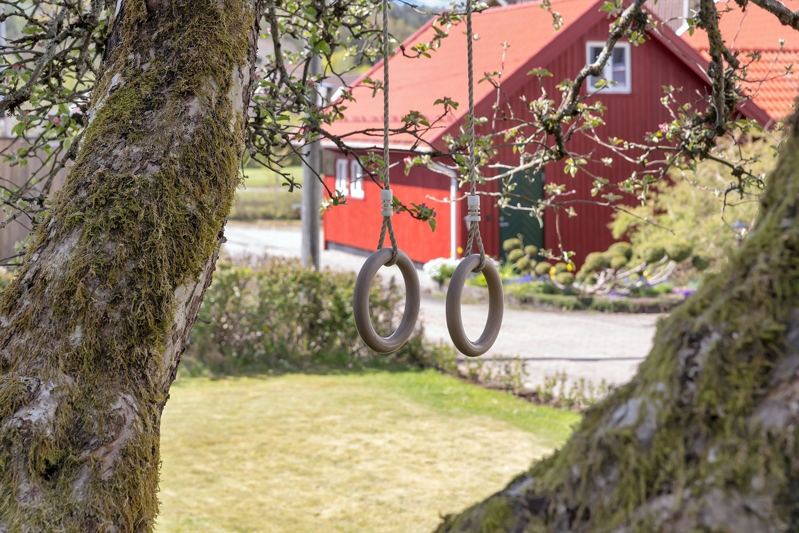 Detalj Galleribilde