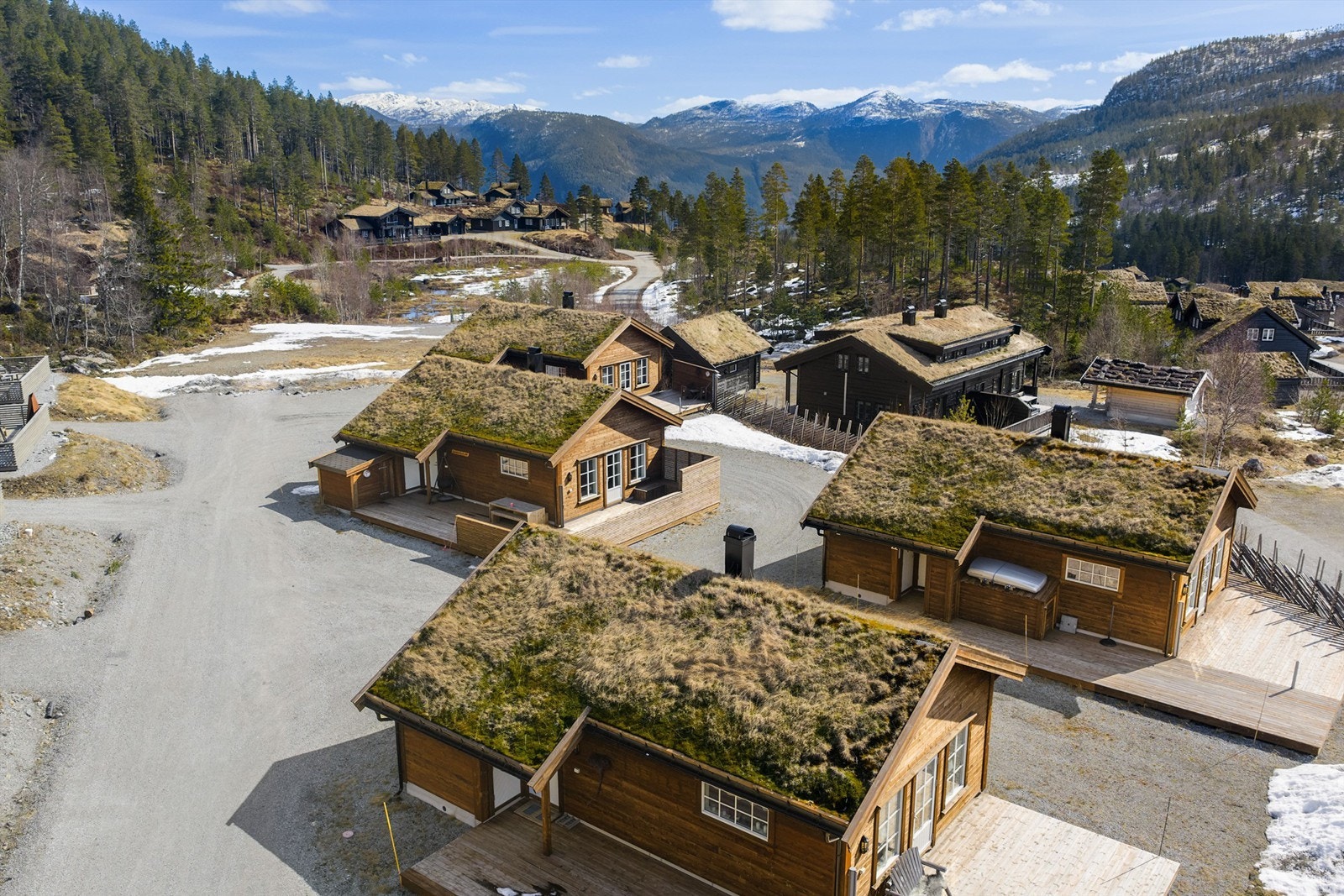 Setesdalen i bakgrunnen. Galleribilde